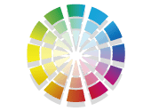 Web Design & Development