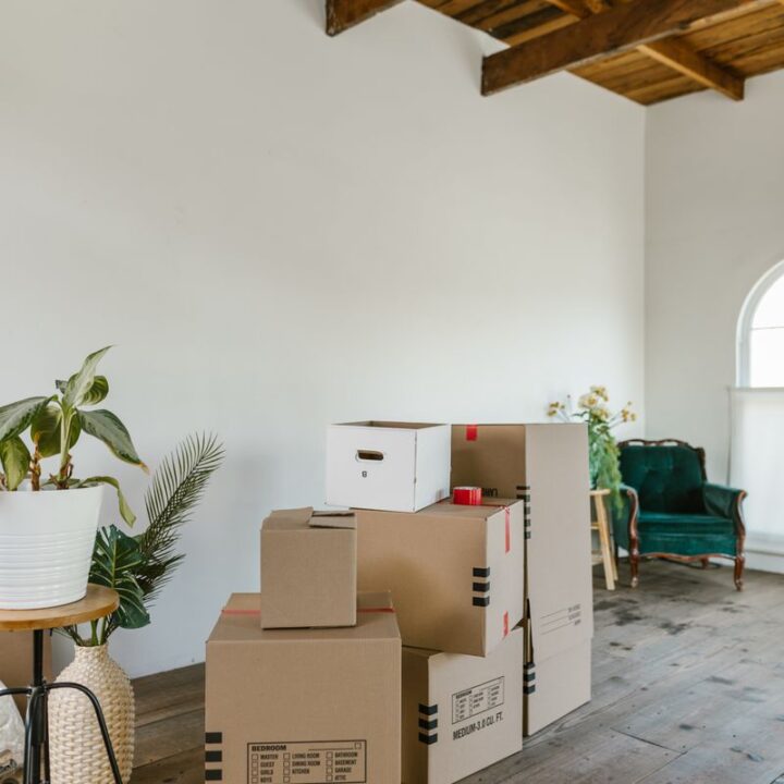 Moving boxes stacked in a bright room with plants